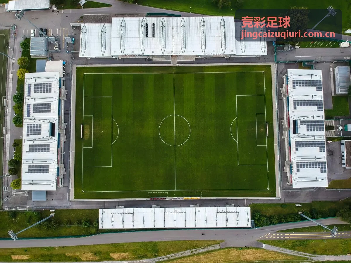竞彩足球数据情报
